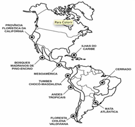 fredericodihl2 [licensed for use only] / GEOGRAFIA 81
